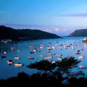 View of Salcombe and harbour from Snapeaes Point in the early morning light. Salcombe