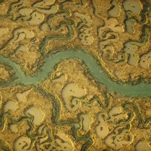 View of saltmarsh habitat from the air, showing tidal creek system, Abbotts Hall Farm