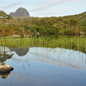 A view of Suilven over a highland loch with islands of scots pine and birch. Sutherland