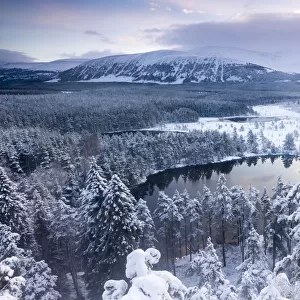 View over Uath Lochans before sunrise following heavy snowfall, Cairngorms National Park