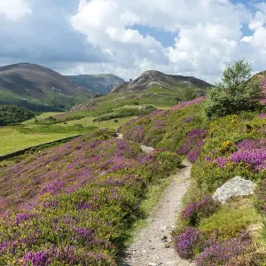 Conwy Mountain Landscape Print