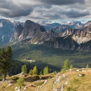 Views over Cristallo and the Dolomite Mountains from Ciadin del Luodo, Belluno Province