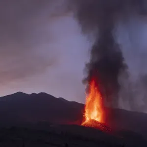 Volcanic eruption, Cumbre Vieja Volcano, La Palma, Canary Islands. September 2021 Volcanic eruption, Cumbre Vieja Volcano, La Palma, Canary Islands. September 2021