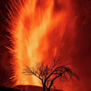 Eruptión volcánica con silueta de árbol, Volcán Cumbre Vieja, La Palma, Islas Canarias. Septiembre 2021. Eruptión volcánica con silueta de árbol, Volcán Cumbre Vieja, La Palma, Islas Canarias. Septiembre 2021.