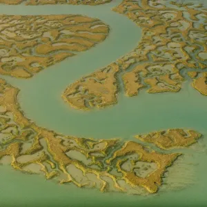 Water channels making patterns in saltmarsh, seen from the air. Abbotts Hall Farm Water channels making patterns in saltmarsh, seen from the air. Abbotts Hall Farm