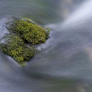 Water flowing round moss covered stones in the Crna Rijeka, Black river springs