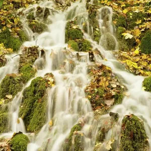 Water running through the woods around Gradinsko Lake, Upper Lakes, Plitvice Lakes National Park, Croatia, October 2008 Water running through the woods around Gradinsko Lake, Upper Lakes, Plitvice Lakes National Park, Croatia, October 2008