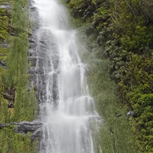 Waterfall near Sao Vicente, Madeira, March 2009