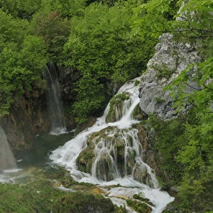 Waterfall and rapids falling into a mountain pool. Plitvice National Park, Croatia, May 2010