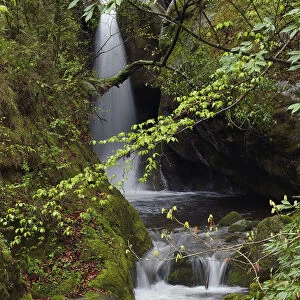 Waterfalls, Tangjiahe National Nature Reserve, Qingchuan County, Sichuan province, China