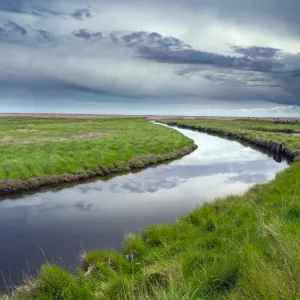 Waterway through marshland, Dingle Nature Reserve, Dunwich, Suffolk, UK. May, 2021