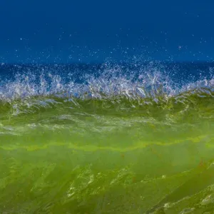 Waves off Cape Cod Print