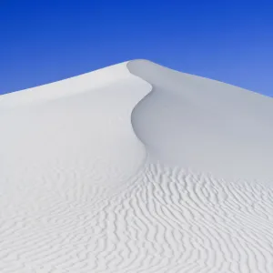 Images Dated 2009 February: 8 Feb 2009