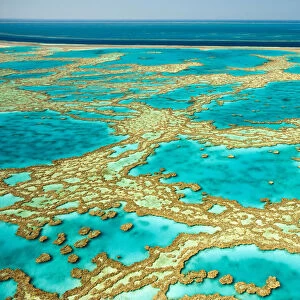 Whitsunday Islands, aerial view, Great Barrier Coral Reef, Queensland, Australia