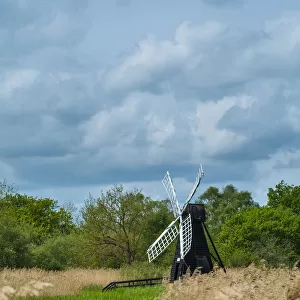 Wicken Fen wetlands with windmill water pump and Phragmites reeds, Cambridgeshire, England, May