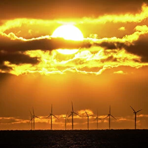 Wind turbines at The Walney offshore wind farm silhouetted at sunset, off Walney Island, Cumbria, UK. November, 2021