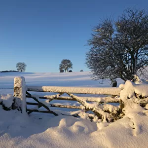 Winter scene with gate near Bonsall, Peak District National Park, Derbyshire