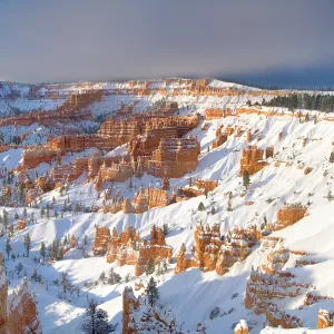 A winter sunrise over snow covered red standstone hoodoos viewed from Sunset Point, Bryce Canyon National Park, Utah, USA. March, 2008