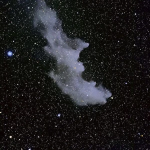 The Witch Head Nebula, IC 2118. If you reverse the image 180 degrees, you can readily