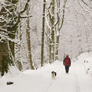 Women walking the dog in heavy snow near Ambleside, England, UK. March 2006