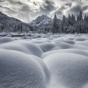 Zelenci Springs in winter, Julian Alps, Kranjska Gora, Slovenia, February 2018 Zelenci Springs in winter, Julian Alps, Kranjska Gora, Slovenia, February 2018