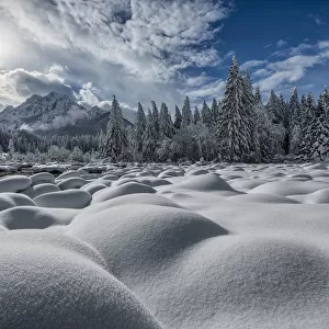 Zelenci Springs in winter, Julian Alps, Kranjska Gora, Slovenia, February 2018