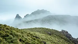 Mist Prints: 1735450