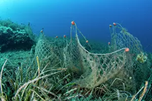 Environmental Issues Prints: Abandoned fishing net drifting over seabed, Komiza, Vis Island, Croatia, Adriatic Sea