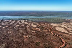 South Australia Prints: Aerial of desert and river,  Wilson River / Cooper Creek floodplain
