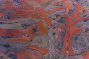 Aerial view of agricultural landscape, Montana Palentina, Castille and Leon, Spain Aerial view of agricultural landscape, Montana Palentina, Castille and Leon, Spain