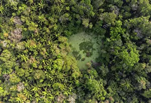 Guatemala Prints: Aerial view of 'Aguada' (depressions capable of holding water through the dry season)