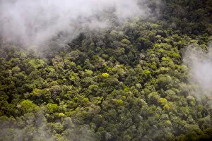 Aerial view of Amazon Rainforest, Peru, July 2015