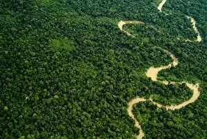 Aerial view of Amazon rainforest with river, Peru