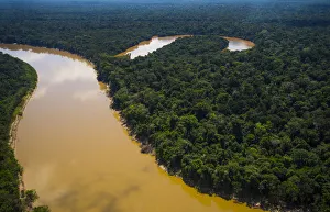 Images Dated 30th July 2015: Aerial view of Amazon Rainforest and the Yavari River, and oxbow lake, Peru. July 2015