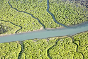 Aerial view of the Bay of Cadiz delta, Sancti Petri, Cdiz, Spain