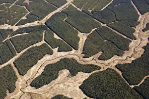 Images Dated 1st May 2012: Aerial view of blocks of forestry plantation planted on blanket bog, Forsinard, Caithness