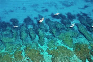 Patterns Prints: Aerial view of boats and snorkelers