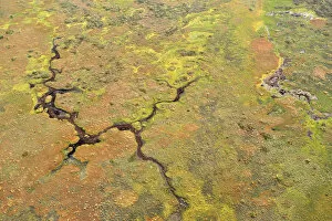 Images Dated 11th June 2008: Aerial view of bog, Kemeri National Park, Latvia, June 2009