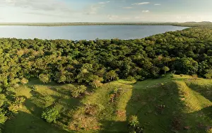 Environmental Issues Prints: Aerial view of the border between monkey's forest habitat and deforested areas