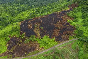 Traditional Prints: Aerial view of burnt vegetation