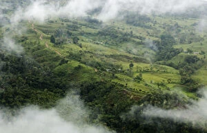 Aerial view of cloud forest cleared for pasture near to populations of Yellow-tailed woolly monkeys