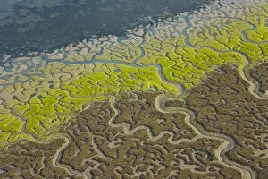 Aerial view of the coast, river beds and saltmarshes of the Bahia / Bay de Cadiz Natural Park