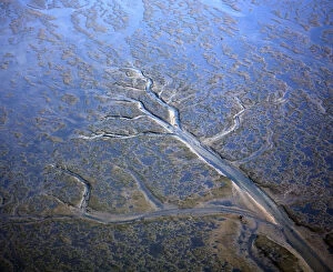 Aerial view of coastal landscape at low tide with channels and pools, Hallig, Germany