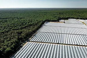 Fruit Prints: Aerial view of commercial strawberry farm stealing water from Donana wetlands