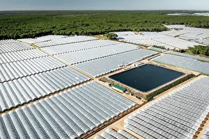 Fruit Prints: Aerial view of commercial strawberry farms and artificial pond stealing water from Donana wetlands
