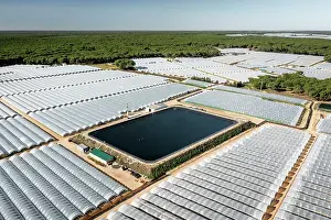 Fruit Prints: Aerial view of commercial strawberry farms and artificial pond stealing water from Donana wetlands