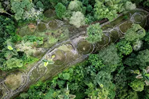 Culture Prints: Aerial view of the core area of Ciudad Perdida