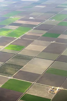 Aerial view of cultivated farmland in strips, Seville, Spain