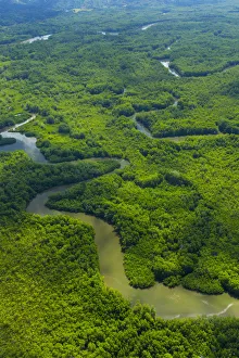 Aerial view of Delta Sierpe River Terraba, Corcovado National Park, Osa Peninsula