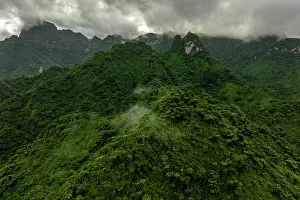 Fiji Prints: Aerial view of a dense vegetation covering mountain peaks surrounded by early morning clouds and fog